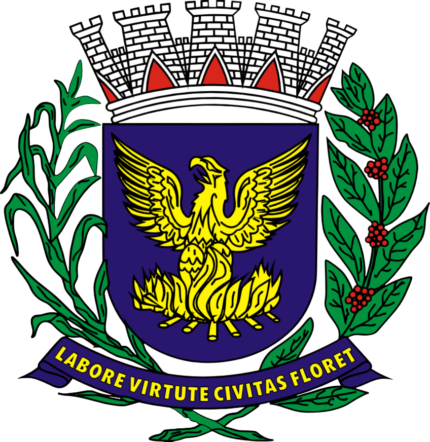 Imagem Bandeira cidade Campinas