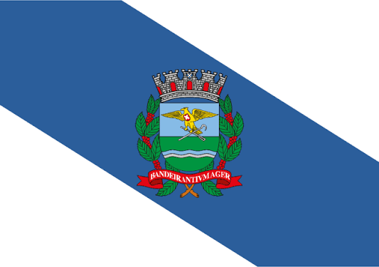 Imagem Bandeira cidade Ribeirão Preto