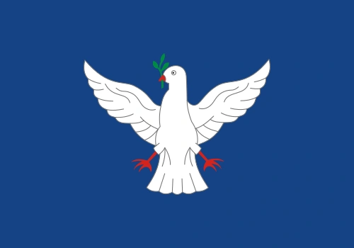 Imagem Bandeira cidade Salvador
