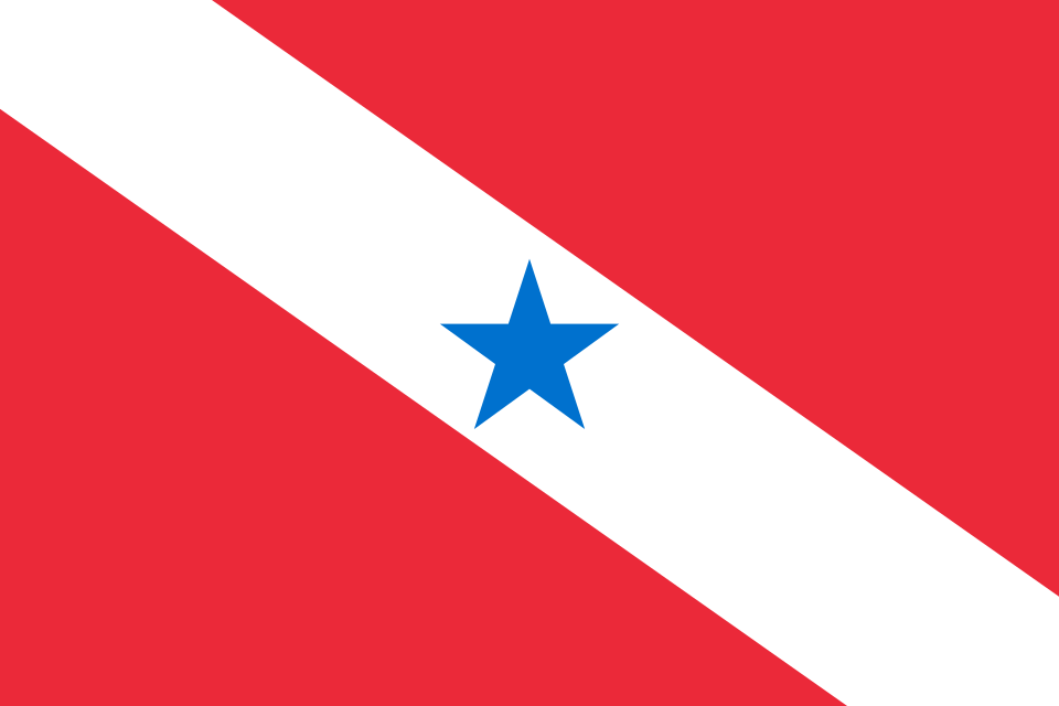 Imagem Bandeira estado Pará